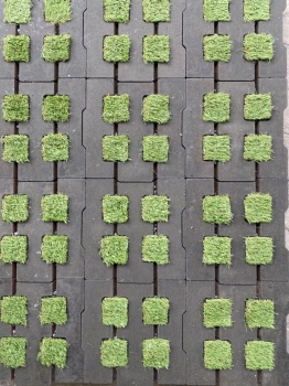 Gạch trang trí sân vườn