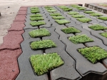 Gạch trang trí sân vườn