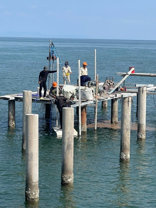 ĐỘI NGŨ NUCETECH-P & OMEGA XỬ LÝ CỌC LÚN TRÊN BIỂN PHÚ QUỐC